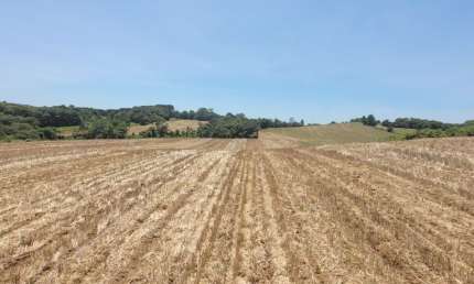 Terreno à venda na Rondinha, Campo Largo 