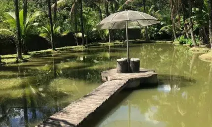Sambaetiba-Sítio 15.000 m², Casa 2 Qts, 2 Lagos - R$ 850 Mil