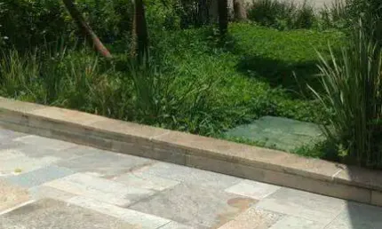 Casa Residencial à venda, Parque dos Príncipes, São Paulo - CA0327.