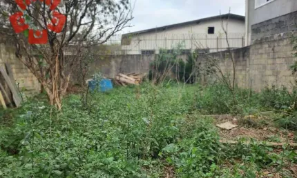 Terreno, 530 m² - venda por R$ 850.000,00 ou aluguel por R$ 8.000,00 - Vila Silviânia - Carapicuíba/SP
