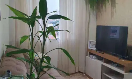 Apartamento com 2 dormitórios à venda, 46 m² por r$ 275.000,00 - jardim brasilia (zona leste) - são paulo/sp