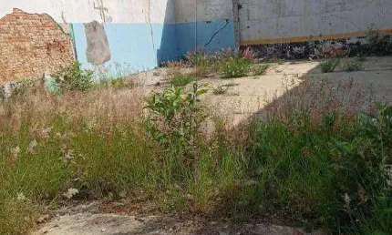 Terreno para alugar, 480 m² por r$ 6.380,00 - mooca - são paulo/sp