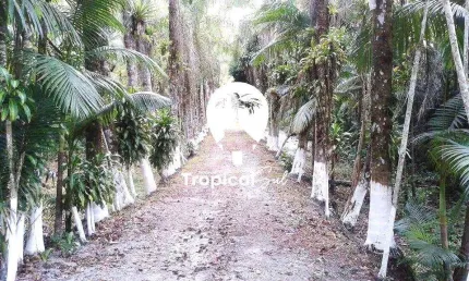 Área no Litoral do Paraná - Guaraguaçú a 07 Km do Balneário Praia Leste