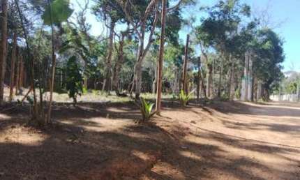 Terreno à venda na Pitinga, 144, Arraial D´Ajuda, Porto Seguro
