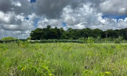 Terreno a 20 minutos do centro de Arraial D’Ajuda Ba