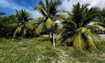 Lote na estrada da balsa / ideal para empreendimento