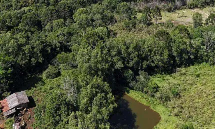 Chácara à venda, 100000 m² por r$ 1.500.000,00 - boqueirão - guarapuava/pr