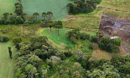 Chácara / sítio à venda na Área Rural de Guarapuava, Guarapuava 