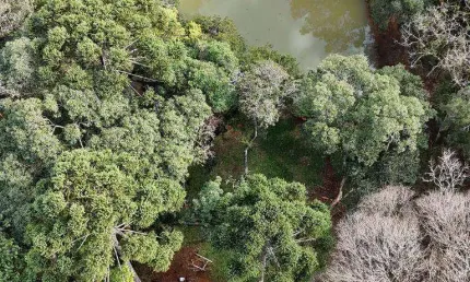 Chácara à venda, 20000 m² por R$ 440.000 - Jordão - 8 km do centro