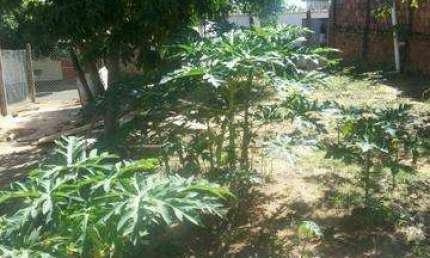 Terreno para Venda em Presidente Prudente, JABAQUARA