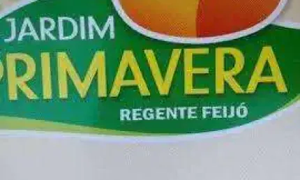 Terreno para Venda em Regente Feijó, JARDIM PRIMAVERA
