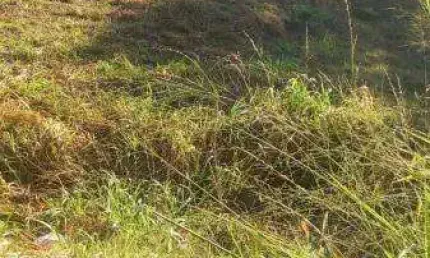 Terreno para venda em presidente prudente, barcelona