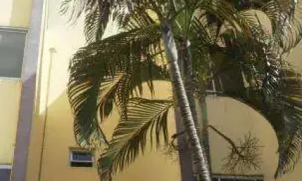 Apartamento para Venda em Presidente Prudente, EDIFÍCIO SAN SEBASTIAN, 3 dormitórios, 1 banheiro, 1 vaga