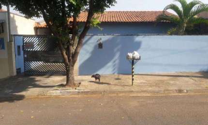Casa para Venda em Presidente Prudente, PLANALTINA, 3 dormitórios, 1 suíte, 1 banheiro, 3 vagas