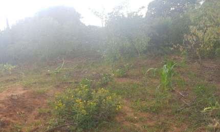 Terreno para Venda em Presidente Prudente, PRUDENTINO