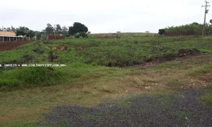 Chácara para Venda em Alfredo Marcondes, ZONA RURAL