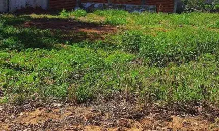 Terreno em Condomínio para Venda em Paulicéia, CONDOMÍNIO RESIDENCIAL ILHA TIBIRIÇA