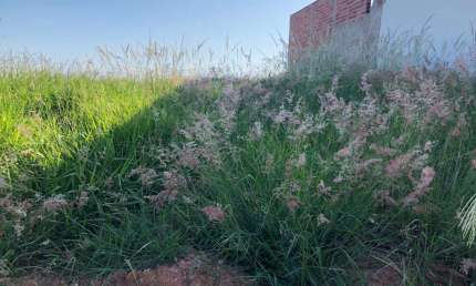 Terreno para Venda em Presidente Prudente, RESIDENCIAL BONGIOVANI