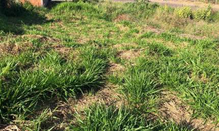 Terreno para Venda em Presidente Prudente, RESIDENCIAL BONGIOVANI