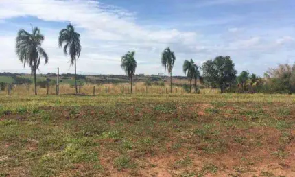 Chácara para Venda em Regente Feijó, Sítio Alvorada