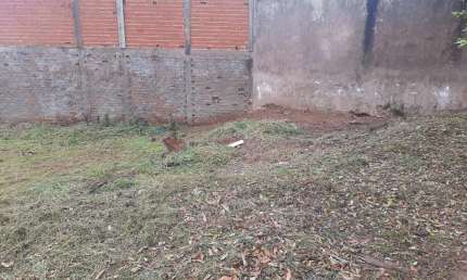 Terreno para Venda em Presidente Prudente, PRUDENTINO