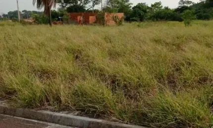 Terreno para Venda em Presidente Epitácio, AEROPORTO
