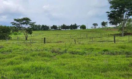 Chácara para Venda em Alfredo Marcondes, CHÁCARA ALFREDO MARCONDES