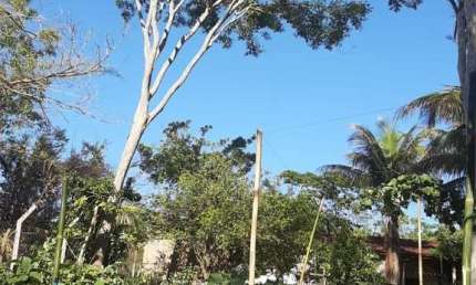 Chácara para Venda em Presidente Prudente, CHACARA PARAISO, 2 dormitórios, 2 banheiros, 3 vagas