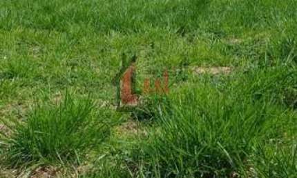 Terreno em Condomínio para Venda em Presidente Prudente, CONDOMÍNIO RESIDENCIAL SOLARES