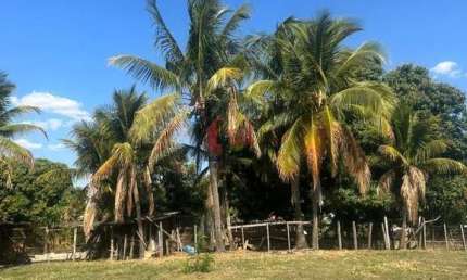Chácara para Venda em Pirapozinho, CHACARA EM PIRAPOZINHO, 3 dormitórios, 1 banheiro, 1 vaga