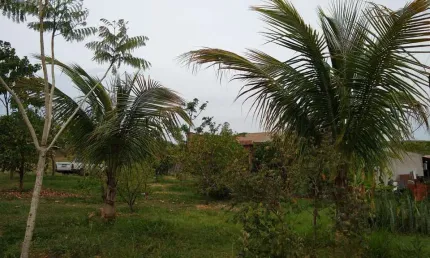 Chácara para Venda em Álvares Machado, CHACARA EM ALAVARES MACHADO, 2 dormitórios, 1 suíte, 2 banheiros, 2 vagas