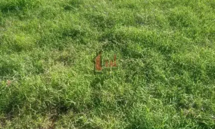 Terreno para Venda em Presidente Prudente, CHACARA AZALEIA I