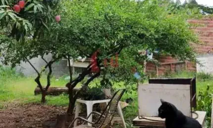 Chácara para venda em álvares machado, chácara arthur boigues, 2 dormitórios, 1 suíte, 2 banheiros, 2 vagas
