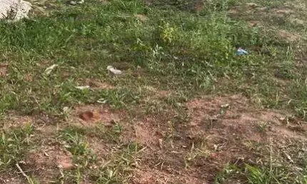 Terreno para Venda em Presidente Prudente, ALTO BELA VISTA I