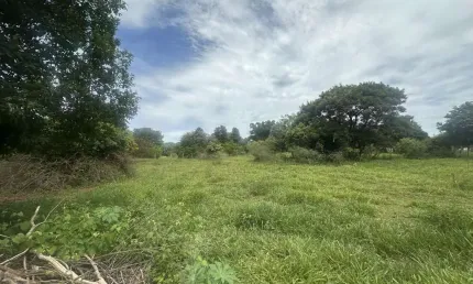 Chácara para Venda em Regente Feijó, CHACARA DAS PAINEIRAS