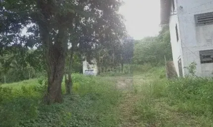 Terreno Comercial Rio de Janeiro - RJ - Campo Grande