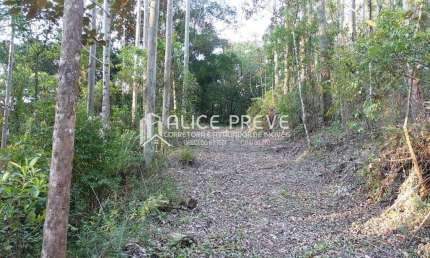 Terreno à venda na Próximo Ao Sítio Marcos E Amigos, Rio Do Poncho, Centro, São Bonifácio