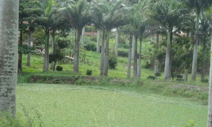Terreno rural à venda, Próximo a Villa Hípica, Gravatá.