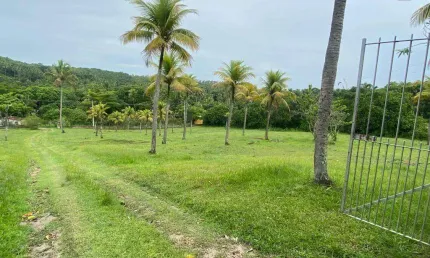 Chácara à venda, 25000 m² por R$ 2.200.000,00 - Umbura - Igarassu/PE