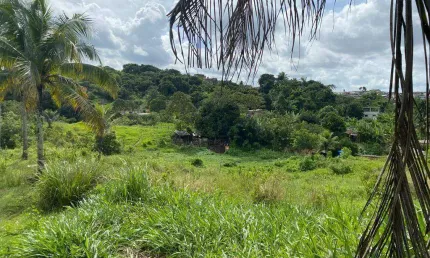 Terreno à venda, 20000 m² por R$ 2.900.000,00 - Jardim Primavera - Camaragibe/PE