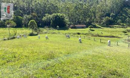 Fazenda à venda no Moura, Canelinha 