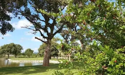 Terreno à venda na Estrada Municipal Itapecirica, 2291, Itapecerica, Taubaté