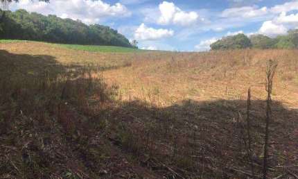 Terreno à venda na Bela Aliança, São Bento do Sul 