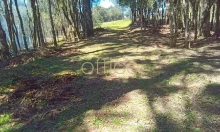 Terreno à venda em campo alegre-sc, 19.991,66 m². a oportunidade que você esperava!