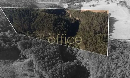 Extenso terreno à venda em campo alegre, 80509 m² - zona rural/sc-280