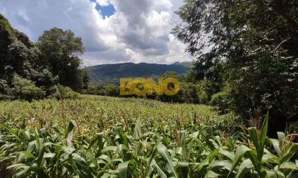 Chácara / sítio à venda no Galópolis, Caxias do Sul  por R$ 162.000