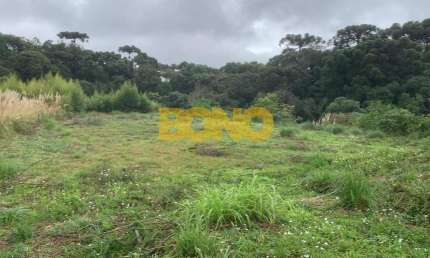 Terreno comercial para alugar no Interlagos, Caxias do Sul  por R$ 5.500