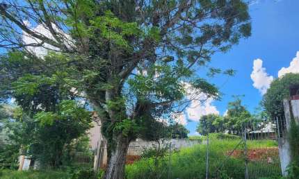 Terreno à venda na Rua João Scuissiato, 381, Santa Quitéria, Curitiba, 444 m2 por R$ 615.000