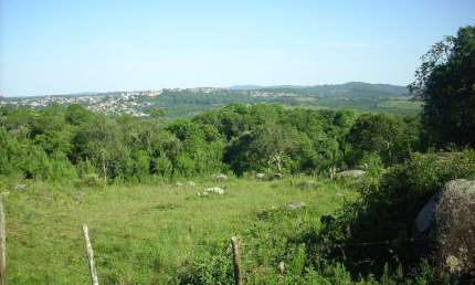 Terreno à venda na Estrada Afonso Lourenço Mariante, 5741, Lomba do Pinheiro, Porto Alegre por R$ 4.599.000