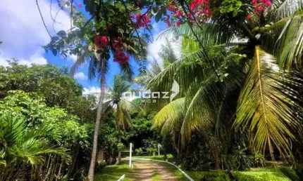 Chácara / sítio com 3 quartos à venda na Rodovia Rn-313, 141, Alcaçuz, Nísia Floresta